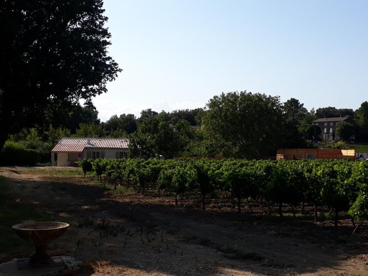 La Petite Maison Dans Les Vignes Chamaret Buitenkant foto