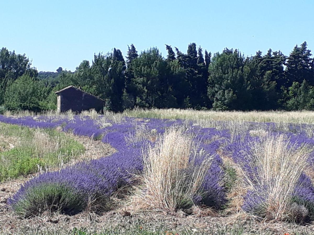 La Petite Maison Dans Les Vignes Chamaret Buitenkant foto